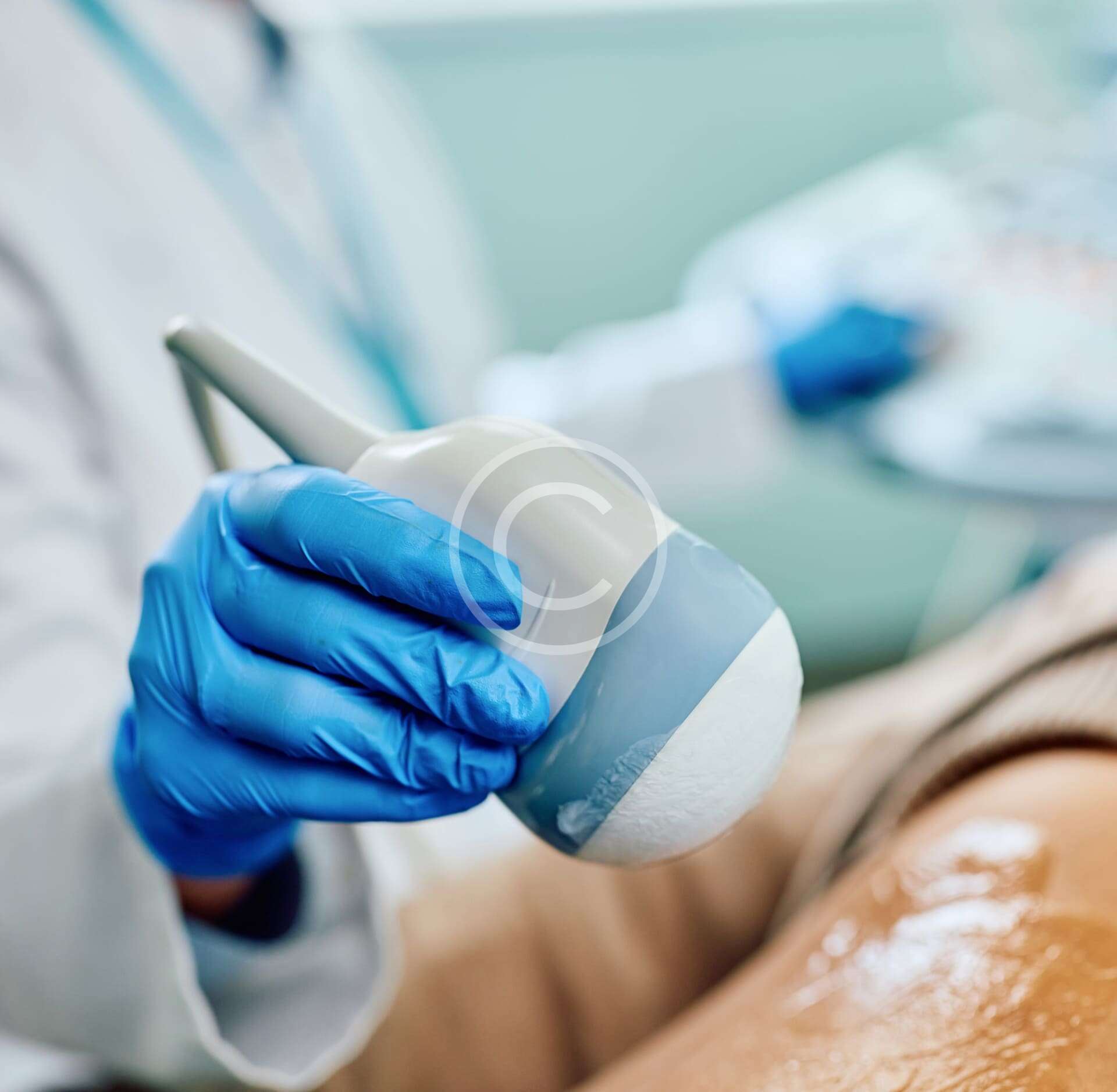 custom-img-215-copyright custom-img-215-copyright